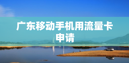 广东移动手机用流量卡申请