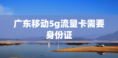 广东移动5g流量卡需要身份证