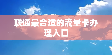 联通最合适的流量卡办理入口