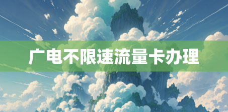 广电不限速流量卡办理
