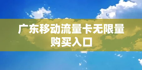 广东移动流量卡无限量购买入口