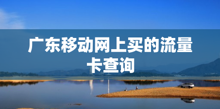 广东移动网上买的流量卡查询