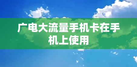 广电大流量手机卡在手机上使用
