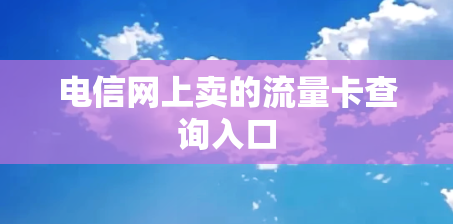 电信网上卖的流量卡查询入口