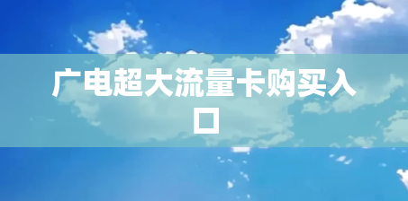 广电超大流量卡购买入口