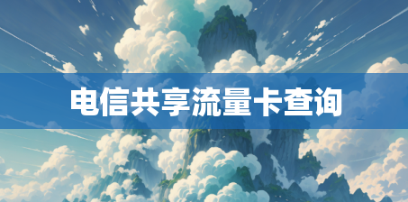 电信共享流量卡查询
