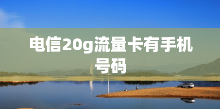 电信20g流量卡有手机号码