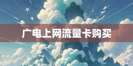 广电上网流量卡购买