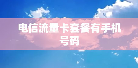 电信流量卡套餐有手机号码