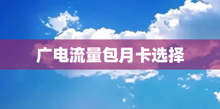广电流量包月卡选择