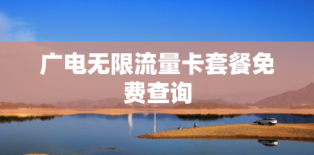 广电无限流量卡套餐免费查询
