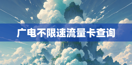 广电不限速流量卡查询
