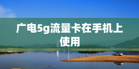 广电5g流量卡在手机上使用