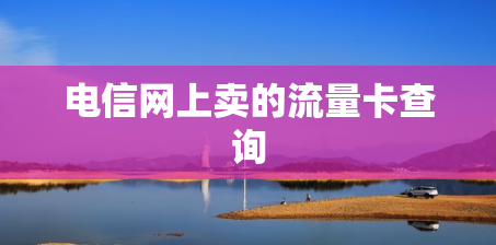 电信网上卖的流量卡查询