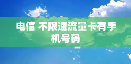 电信 不限速流量卡有手机号码