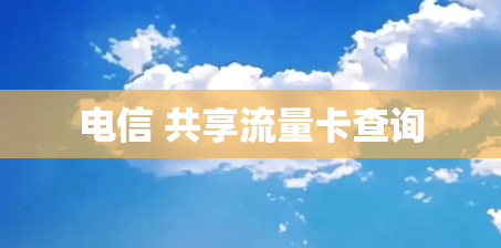 电信 共享流量卡查询