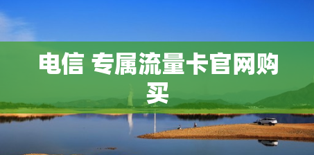 电信 专属流量卡官网购买