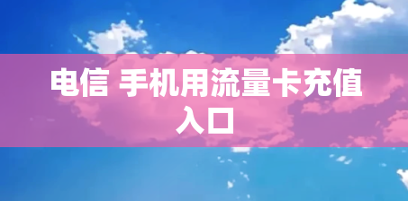 电信 手机用流量卡充值入口
