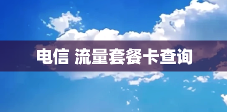 电信 流量套餐卡查询