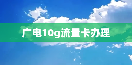 广电10g流量卡办理