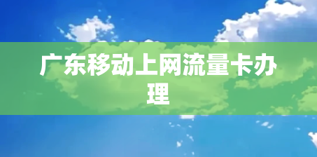 广东移动上网流量卡办理