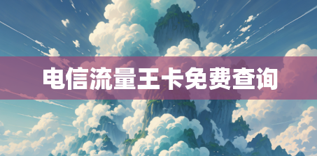 电信流量王卡免费查询