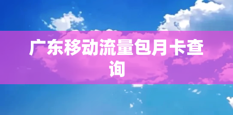 广东移动流量包月卡查询