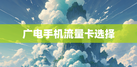 广电手机流量卡选择