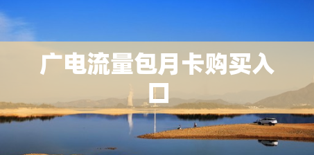 广电流量包月卡购买入口
