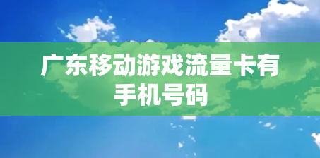 广东移动游戏流量卡有手机号码
