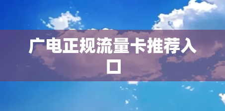 广电正规流量卡推荐入口