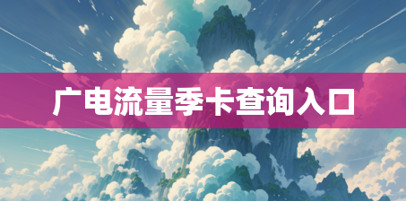 广电流量季卡查询入口