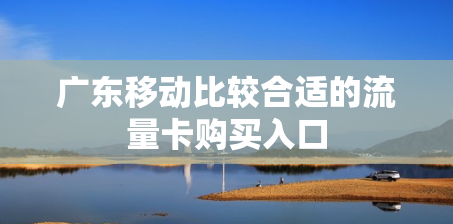 广东移动比较合适的流量卡购买入口