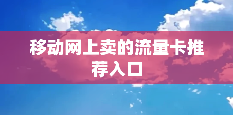 移动网上卖的流量卡推荐入口