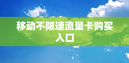 移动不限速流量卡购买入口