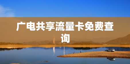 广电共享流量卡免费查询