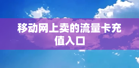 移动网上卖的流量卡充值入口