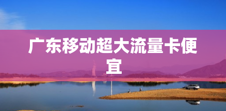 广东移动超大流量卡便宜