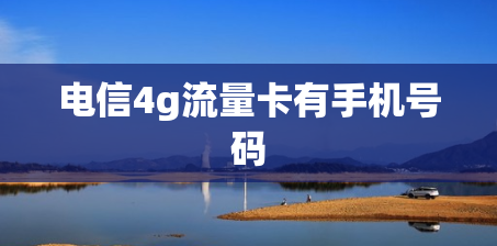 电信4g流量卡有手机号码