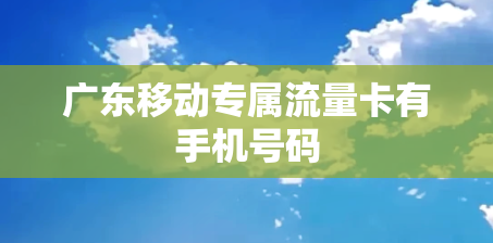 广东移动专属流量卡有手机号码