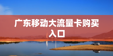 广东移动大流量卡购买入口