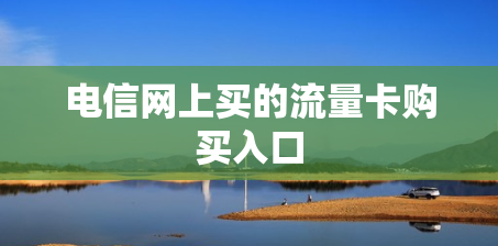 电信网上买的流量卡购买入口