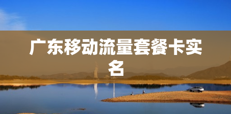 广东移动流量套餐卡实名