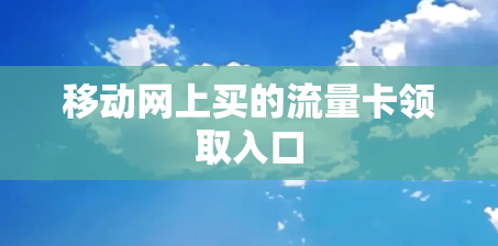 移动网上买的流量卡领取入口