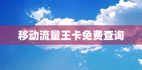 移动流量王卡免费查询