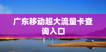 广东移动超大流量卡查询入口