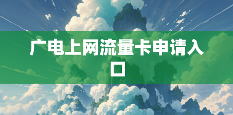 广电上网流量卡申请入口