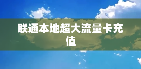 联通本地超大流量卡充值