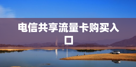 电信共享流量卡购买入口