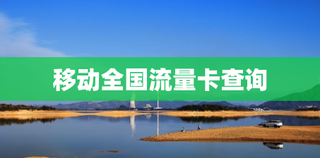 移动全国流量卡查询